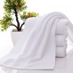 Major shopping price of hotel towels